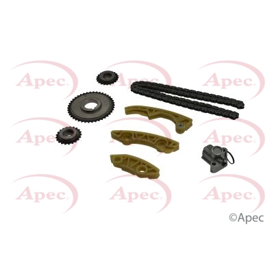 Timing Chain Kit (ACK4145)