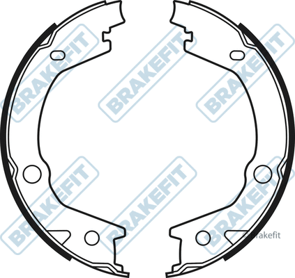 Brake Shoe Set, parking brake (BSH1066)