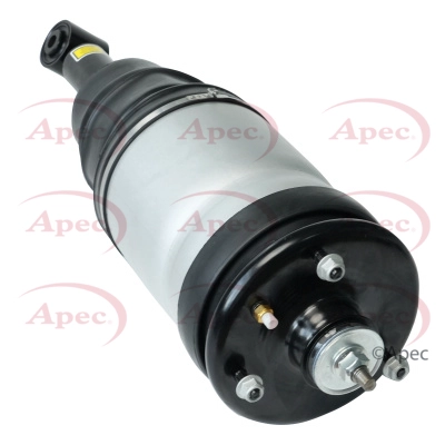 Air Suspension Strut (AAS1016)