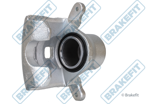 Brake Caliper (BCA2219E)