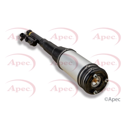 Air Suspension Strut (AAS1046)
