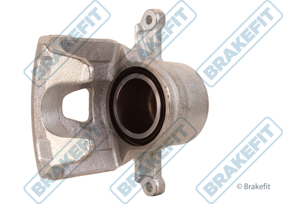 Brake Caliper (BCA1813E)