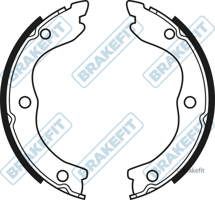 Brake Shoe Set, parking brake (BSH1041)