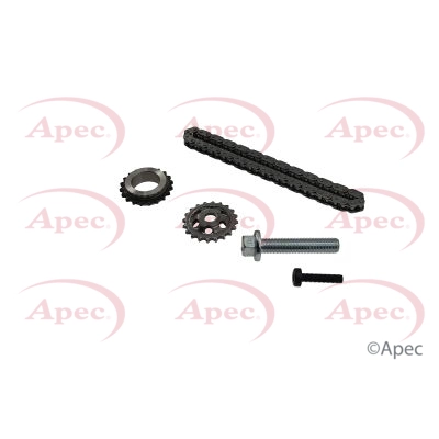 Timing Chain Kit (ACK4055)
