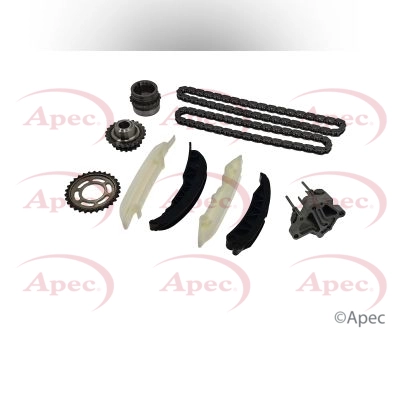 Timing Chain Kit (ACK4106)