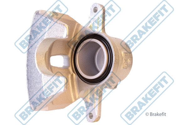 Brake Caliper (BCA2166E)