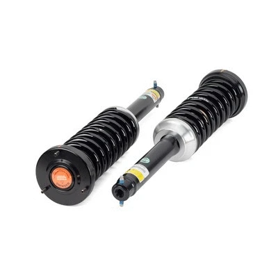 Suspension Kit, springs/shock absorbers (C-2242)