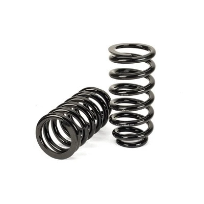 Suspension Set, springs (C-3080)
