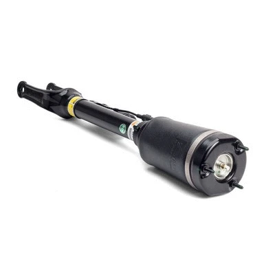 Air Suspension Strut (AS-2450)