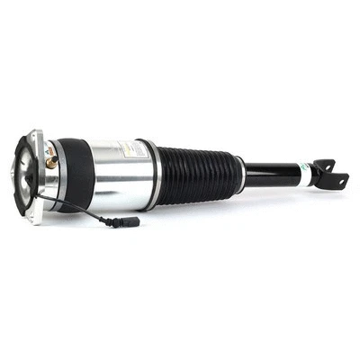 Air Suspension Strut (AS-3129)