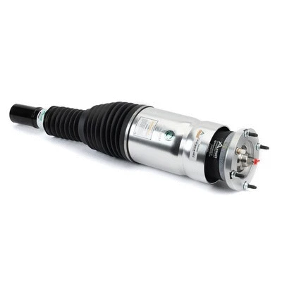 Air Suspension Strut (AS-3355)