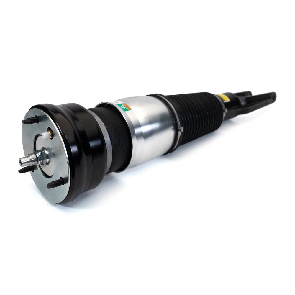 Air Suspension Strut (ASE-4028)