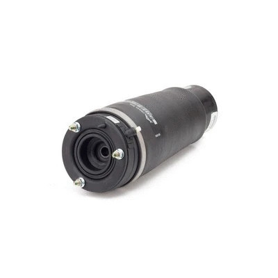Air Spring, suspension (A-2933)