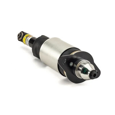 Air Suspension Strut (AS-3231)