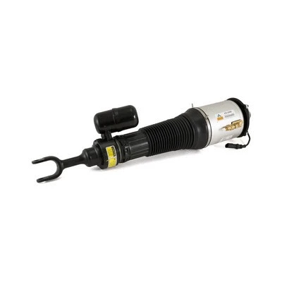 Air Suspension Strut (AS-2580)