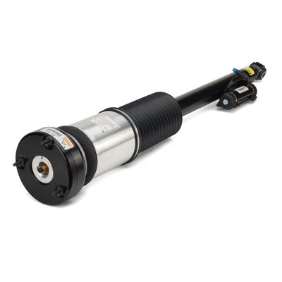 Air Suspension Strut (AS-2821)