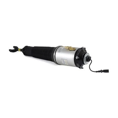 Air Suspension Strut