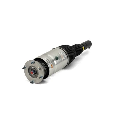 Air Suspension Strut (AS-3069)