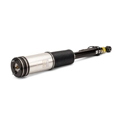 Air Suspension Strut (AS-2884)