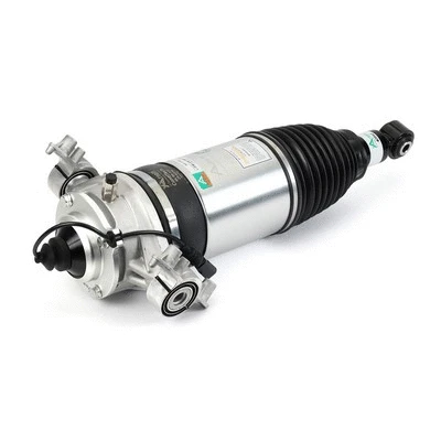 Air Suspension Strut (AS-3166)