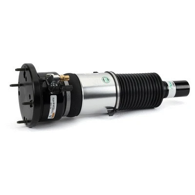Air Suspension Strut (AS-3309)