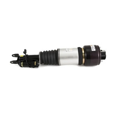 Air Suspension Strut