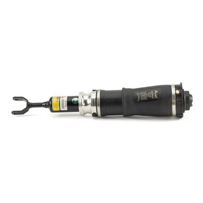 Air Suspension Strut