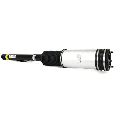 Air Suspension Strut (AS-2194)
