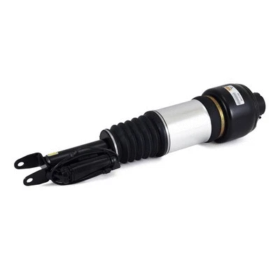 Air Suspension Strut (AS-2245)