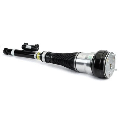 Air Suspension Strut (AS-3365)