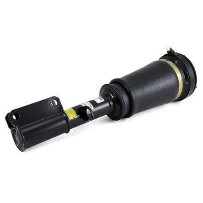 Air Suspension Strut (AS-2306)