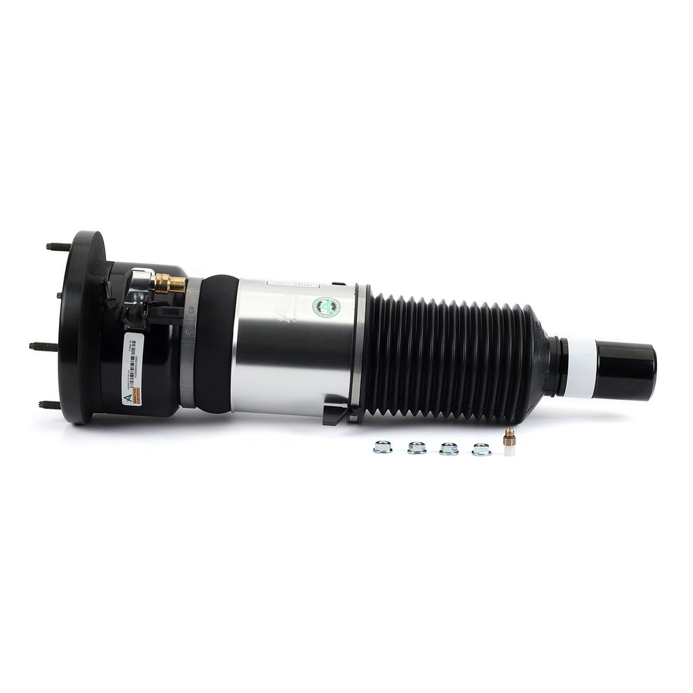 Air Suspension Strut (ASE-3821)