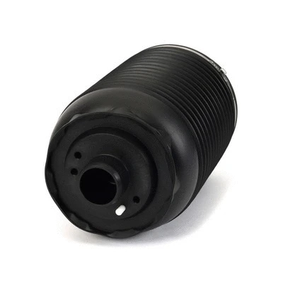 Air Spring, suspension