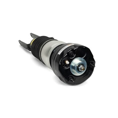 Air Suspension Strut (AS-3035)