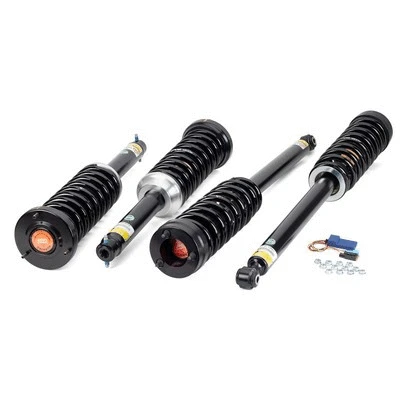 Suspension Kit, springs/shock absorbers