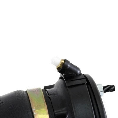 Air Suspension Strut