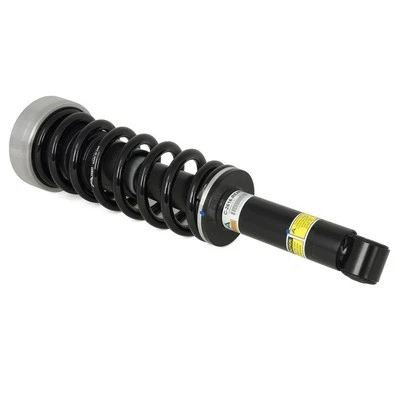 Suspension Kit, springs/shock absorbers