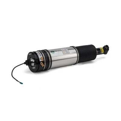 Air Suspension Strut (AS-2978)