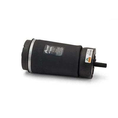 Air Spring, suspension (A-2831)
