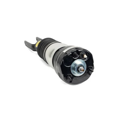 Air Suspension Strut (AS-3036)
