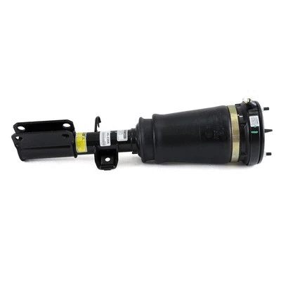 Air Suspension Strut