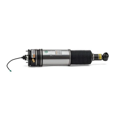 Air Suspension Strut
