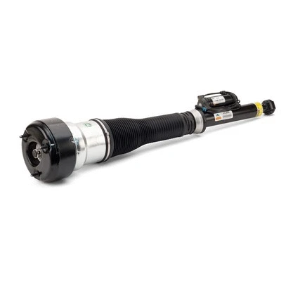 Air Suspension Strut (AS-2604)