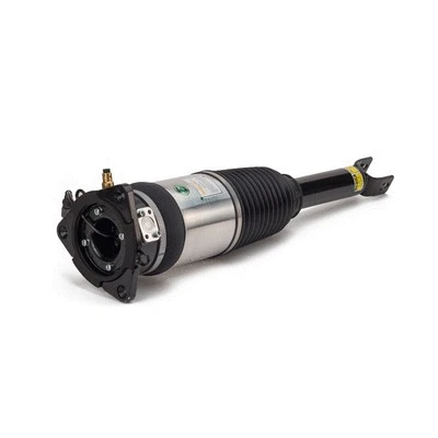 Air Suspension Strut (AS-2969)