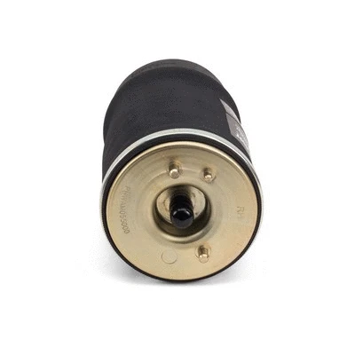 Air Spring, suspension