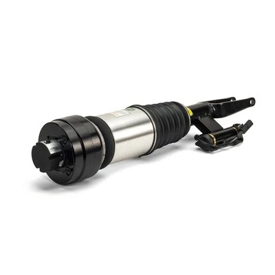 Air Suspension Strut (AS-3000)