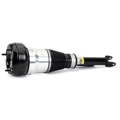 Air Suspension Strut (AS-3359)