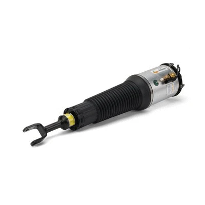 Air Suspension Strut