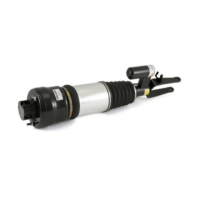 Air Suspension Strut (AS-2294)