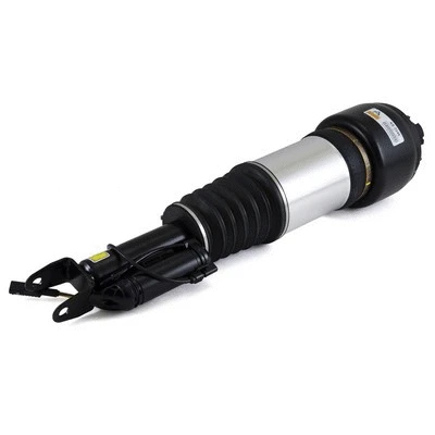 Air Suspension Strut (AS-2246)